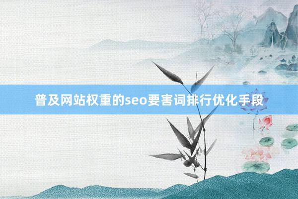 普及网站权重的seo要害词排行优化手段